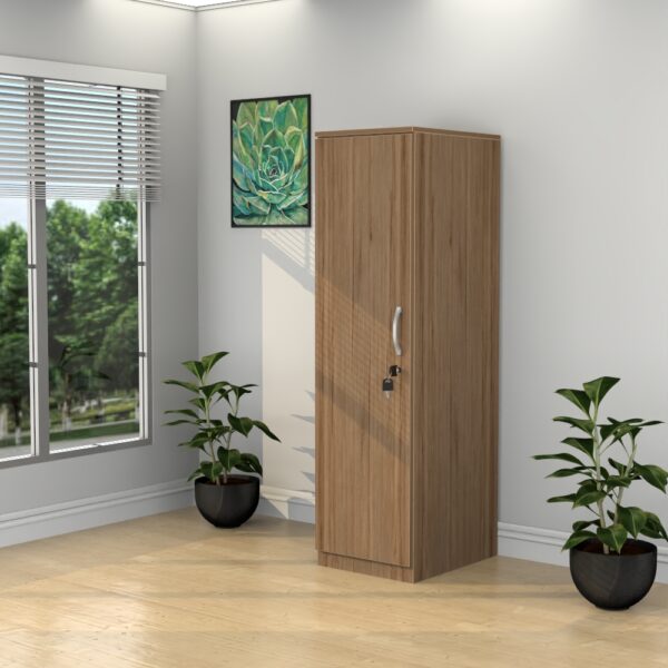 Single Door Personal Organizer - Various Colors