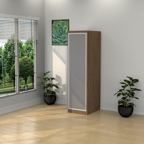 Single Door Personal Organizer with Glass Door - Various Colors