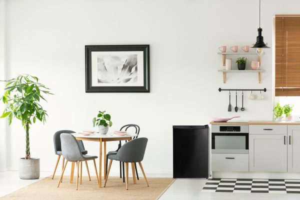 4.4 cu. ft. Compact Fridge - Image 2